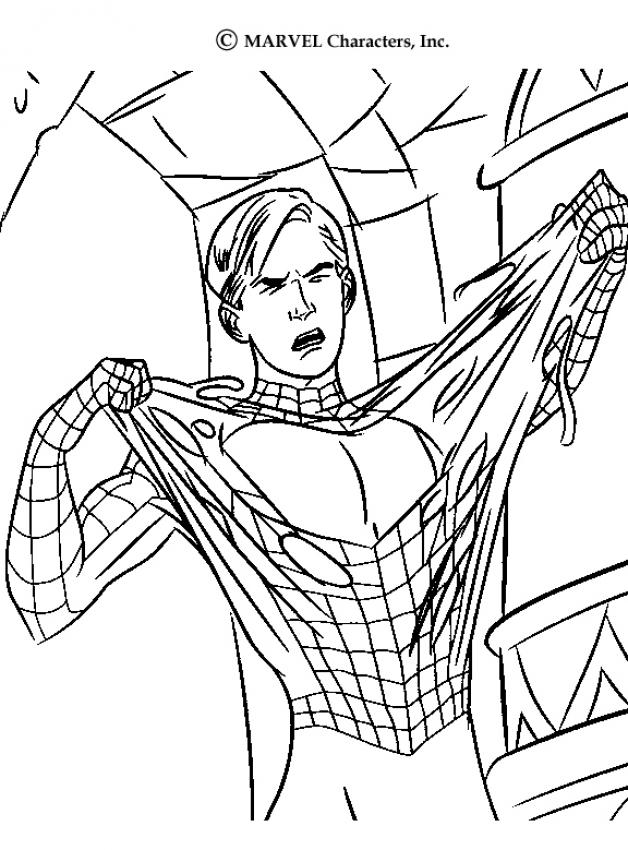 coloriage spiderman sur ordinateur