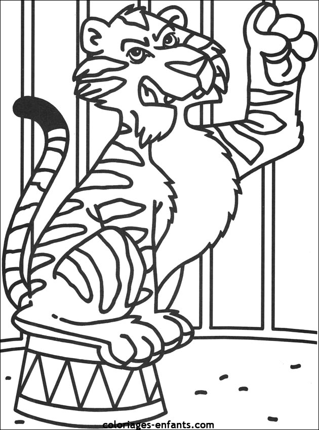 coloriage tigre cirque