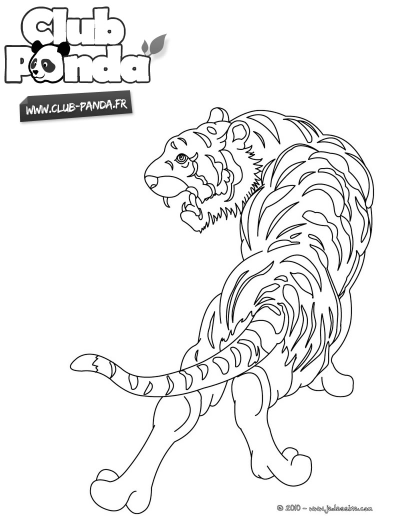 Unique Coloriage Gratuit à Imprimer Tigre  Des Milliers de Coloriage