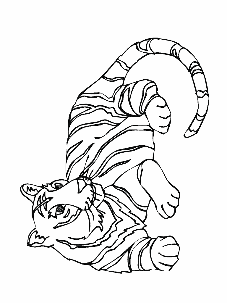 18 dessins de coloriage Tigre Du Bengale à imprimer