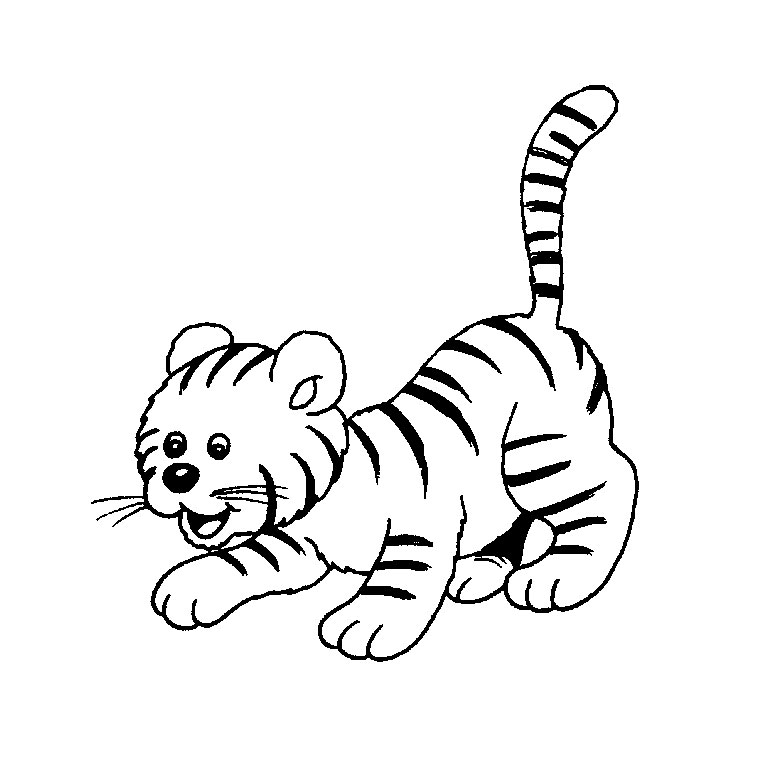 Coloriage A Dessiner En Ligne Bebe Tigre