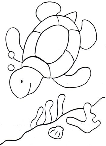 coloriage tortue de mer