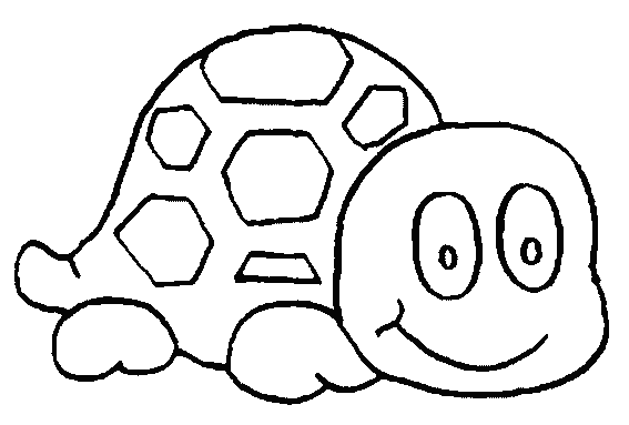 coloriage tortue de mer