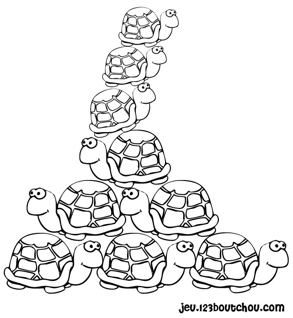 coloriage tortue de terre