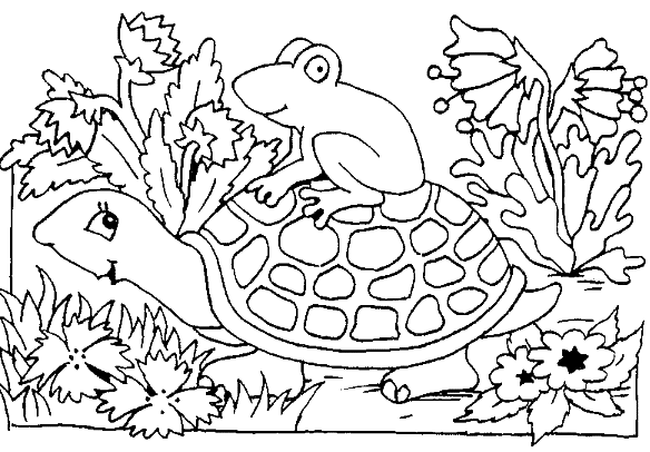 coloriage tortue de terre