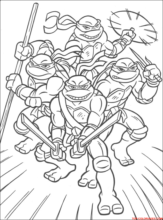 coloriage tortue en ligne