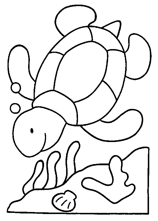 coloriage tortue marine