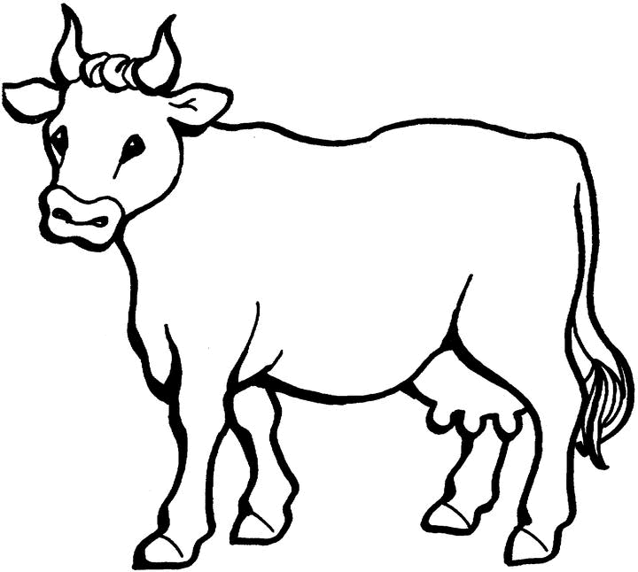 coloriage vache gratuit