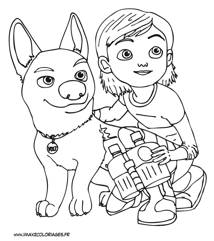 coloriage volt chien