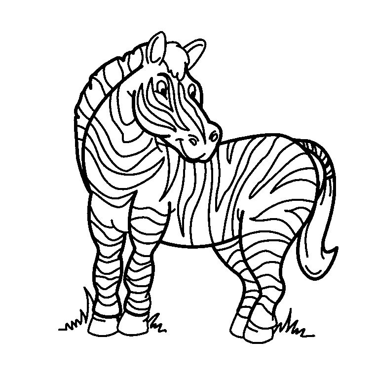 coloriage zebre imprimer gratuit