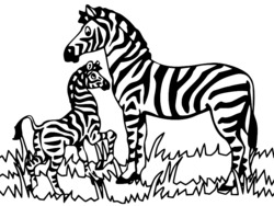 imprimer coloriage zebre